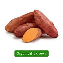 Organic Sweet Potato/Organic Shakarkandi